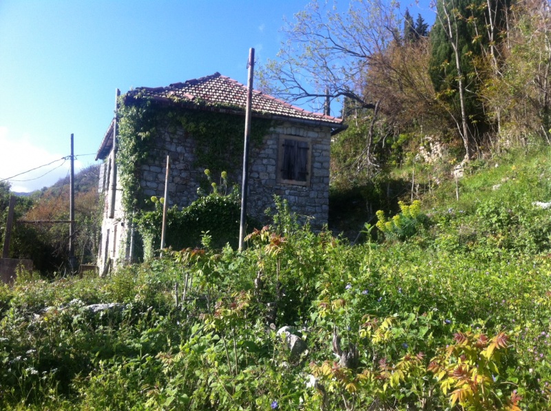 Дома и виллы в Черногории