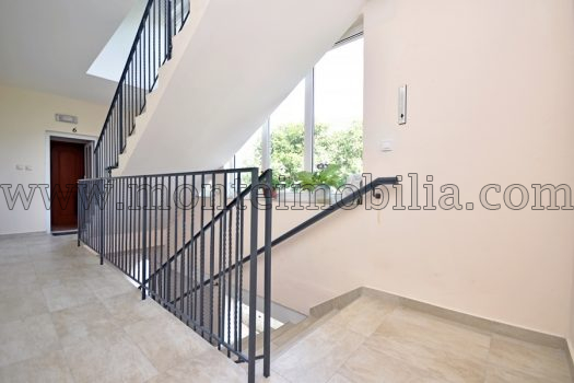 Дом с апартаментами недалеко от моря в Дженовичи